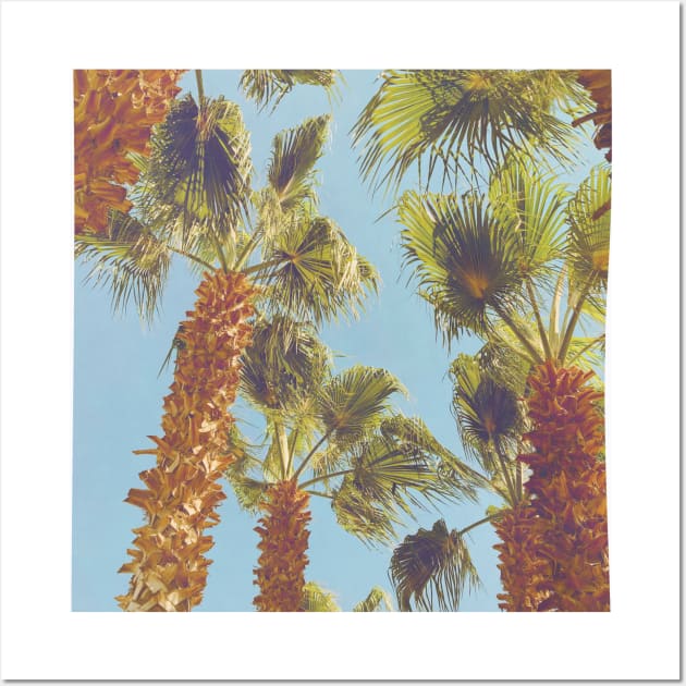 Pretty picture of a Palm Tree. Pretty Palm Trees Photography design with blue sky Wall Art by BoogieCreates